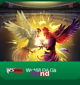 9vnd